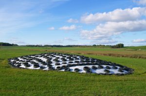 Silage cover